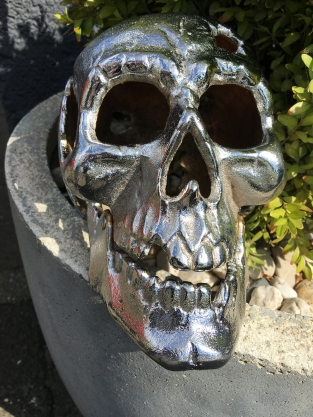 Large Anatomical Skull - Cast Iron - Chrome Nickel